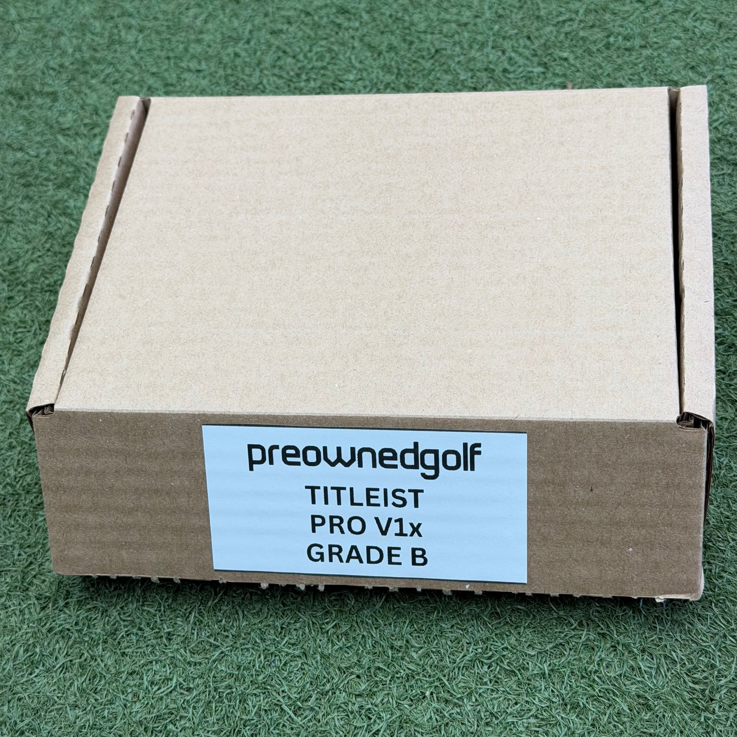 Titleist Pro V1x Lake Ball Dozen (12 Balls)