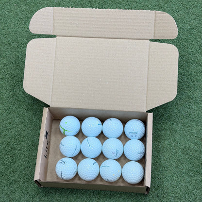 Titleist Pro V1x Lake Ball Dozen (12 Balls) - Pre Owned Golf 