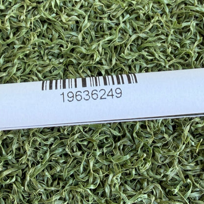 Scotty Cameron Super Select Squareback 2 Putter / 34 Inch