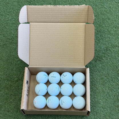 Titleist Pro V1 Lake Ball Dozen (12 Balls) - Pre Owned Golf 