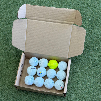Titleist Pro V1 Lake Ball Dozen (12 Balls) - Pre Owned Golf 