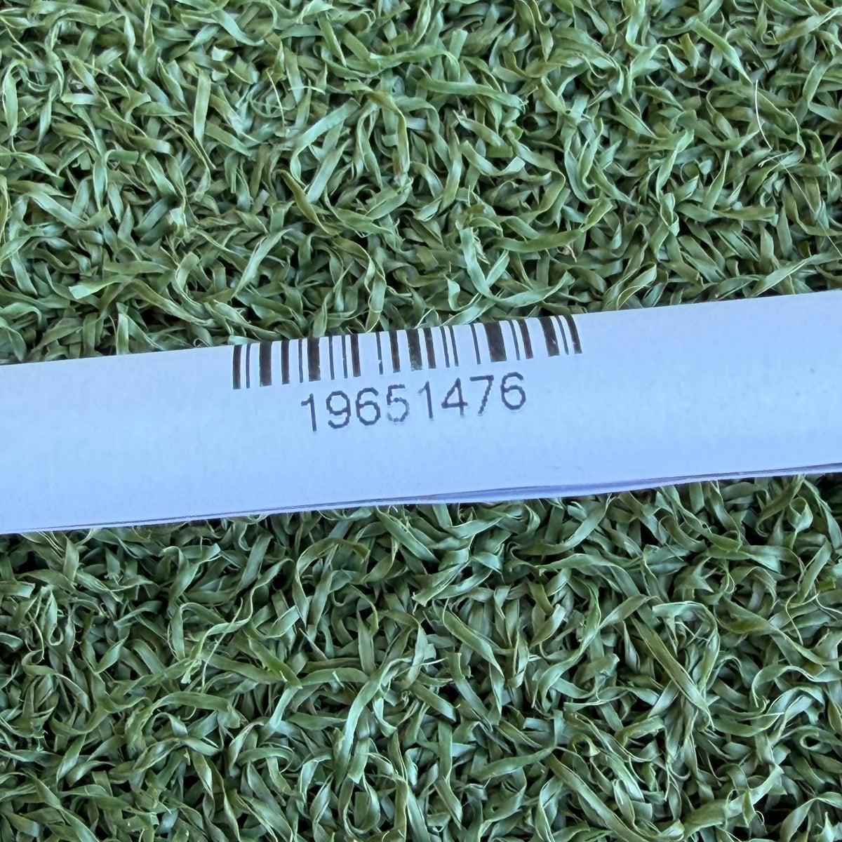 Yes! C-Groove Sophia Golf Putter / 35 Inch / Left Handed