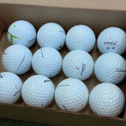 Titleist Pro V1x Lake Ball Dozen (12 Balls) - Pre Owned Golf 