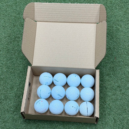 Titleist Pro V1x Lake Ball Dozen (12 Balls) - Pre Owned Golf 