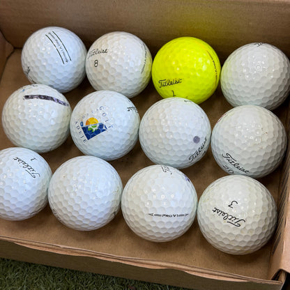 Titleist Pro V1 Lake Ball Dozen (12 Balls) - Pre Owned Golf 